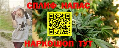 СК Абинск