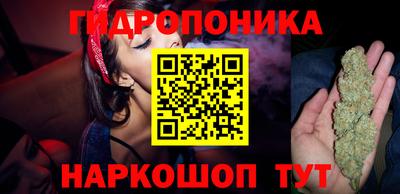 СК Абинск