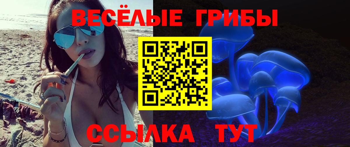 Псилоцибиновые грибы Magic Shrooms  Вход с VPN  Анжеро-Судженск 