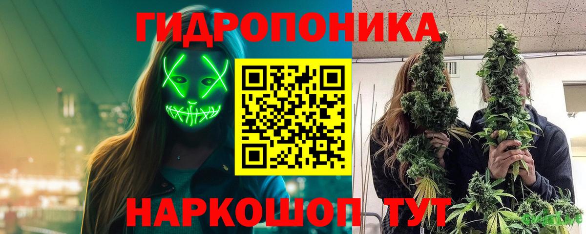 Каннабис индика Анжеро-Судженск